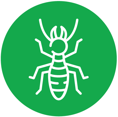 termite remediation icon